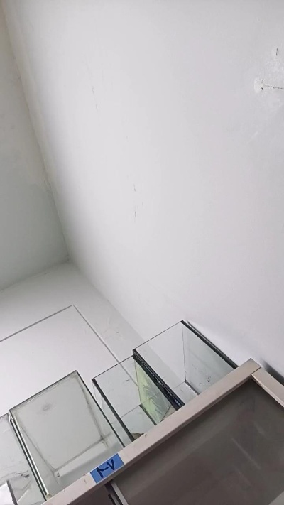 sandro20sexy live cam on Cam4