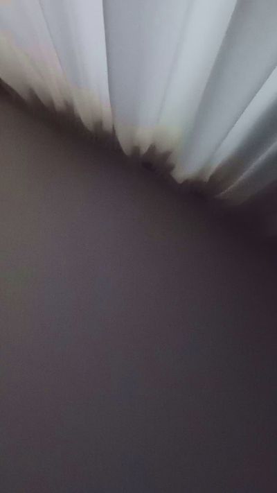sanecheekfun live cam on Cam4