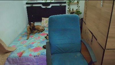 santiagoo live cam on Cam4