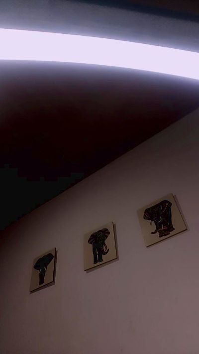 sara_jonnes live cam on Cam4