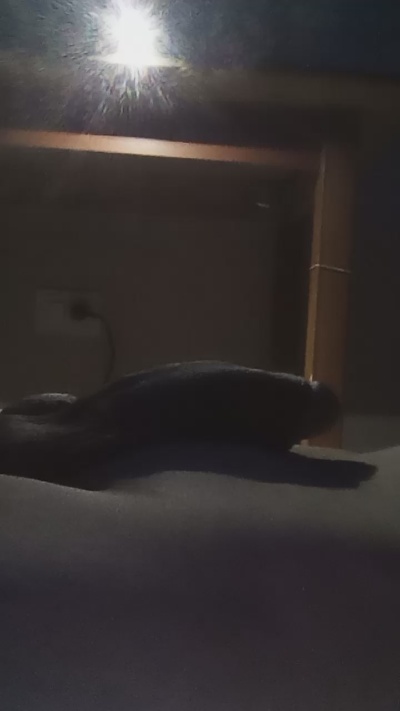 saraylovesexy live cam on Cam4