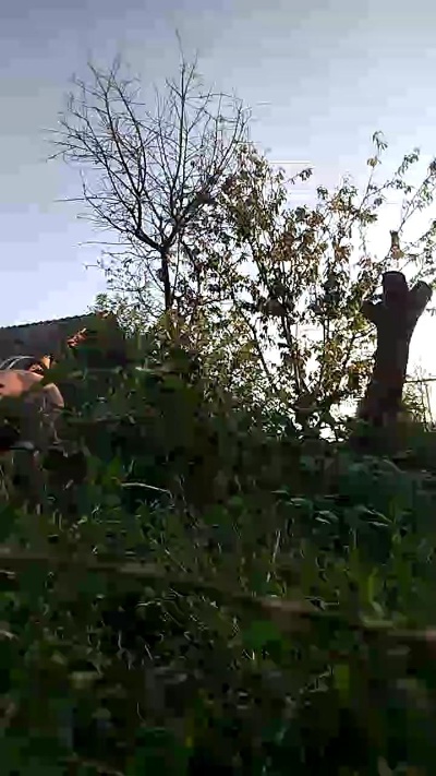 sarpe4 live cam on Cam4