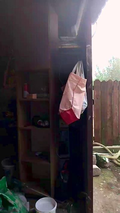 sarpe4 live cam on Cam4