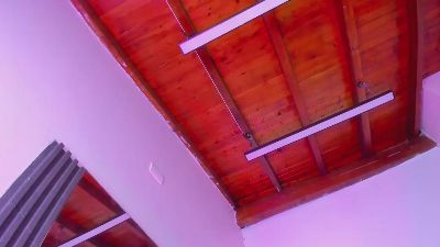 sasharosee1 live cam on Cam4