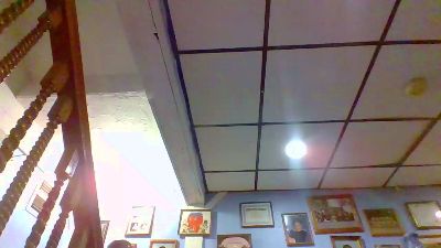 savega2 live cam on Cam4