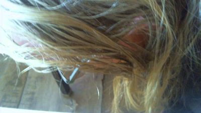 schwieger44 live cam on Cam4
