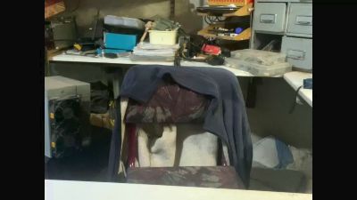 scorp791 live cam on Cam4
