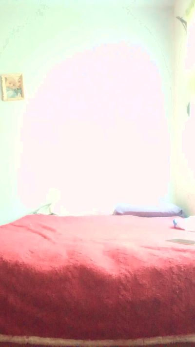 sebapijudo live webcam show