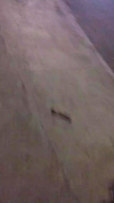 sebas2233 live cam on Cam4