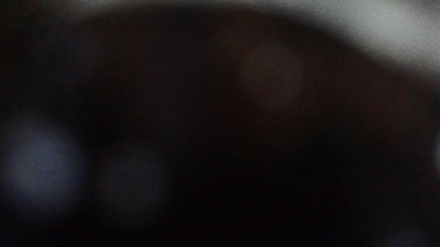 sebcbien42 live cam on Cam4
