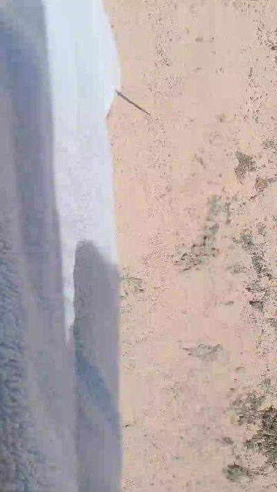 seby1982 live cam on Cam4