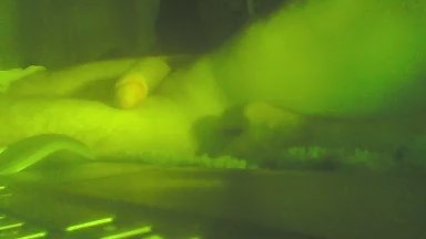 sergio10103 live cam on Cam4