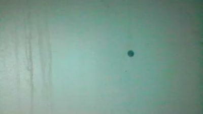 sexxycandise live cam on Cam4