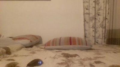 sexyboyjacki live cam on Cam4