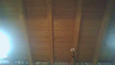 shaggyvery live cam on Cam4