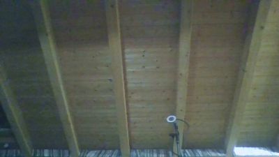 shaggyvery live cam on Cam4