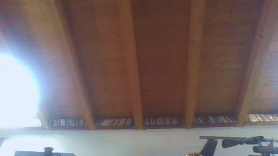 shaggyvery live cam on Cam4