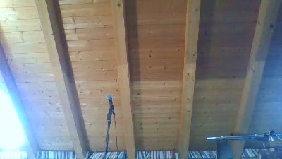 shaggyvery live cam on Cam4