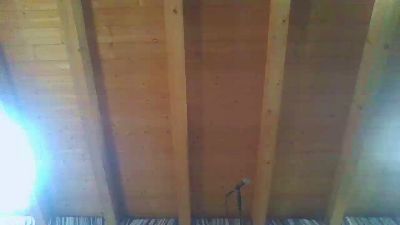 shaggyvery live cam on Cam4