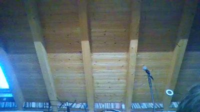 shaggyvery live cam on Cam4