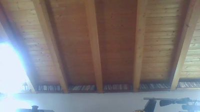 shaggyvery live cam on Cam4