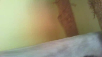 shyla62 live cam on Cam4