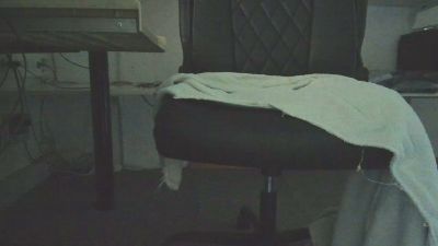 sigi82 live cam on Cam4