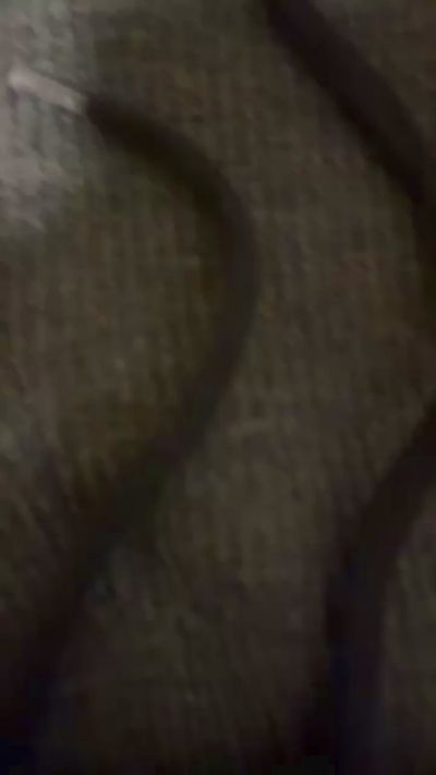 sikici201 live cam on Cam4