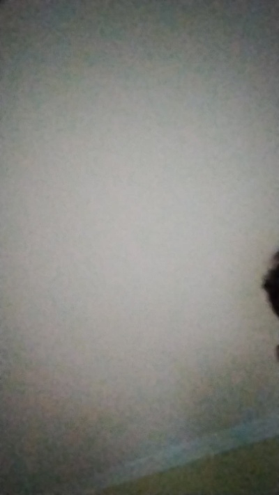 Profile and Statistics for simao33 on Cam4