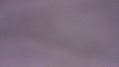 singolare1 live cam on Cam4