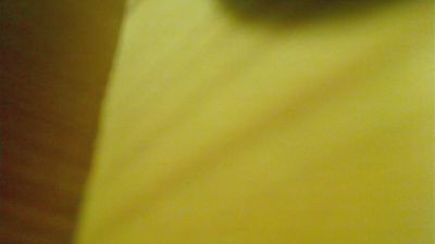 siriusblack66 live cam on Cam4