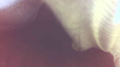 sjteazer408 live cam on Cam4