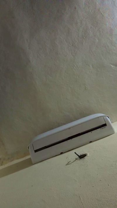 sk8311 live cam on Cam4