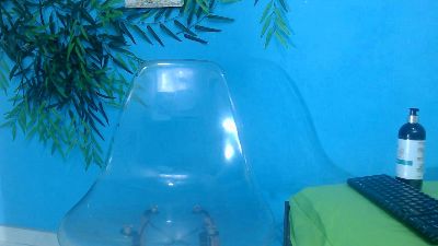 skinnysofia18 live cam on Cam4