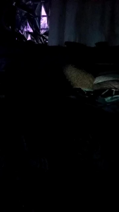 slaaf_fun live cam on Cam4