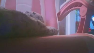 sluttydiana4 live cam on Cam4
