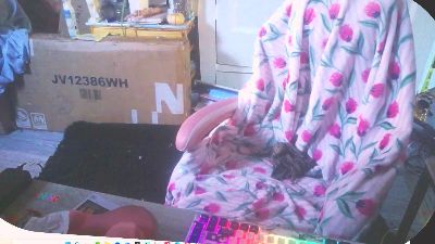 sluttydiana4 live cam on Cam4