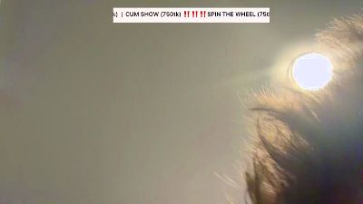 Profile and Statistics for smaiib0y on Cam4