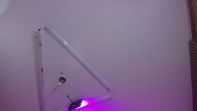 soffi_roberts live cam on Cam4
