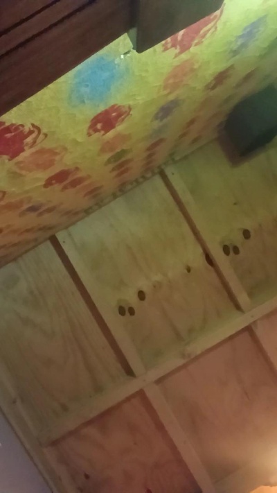 solnymph live cam on Cam4
