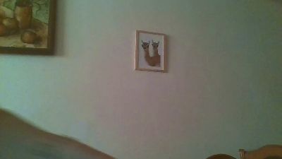 amateur sex webcam Soynicolas4