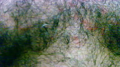 soypeludoword live cam on Cam4