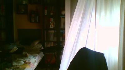 spintriae1 live cam on Cam4