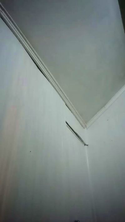 Profile and Statistics for sseurekii on Cam4