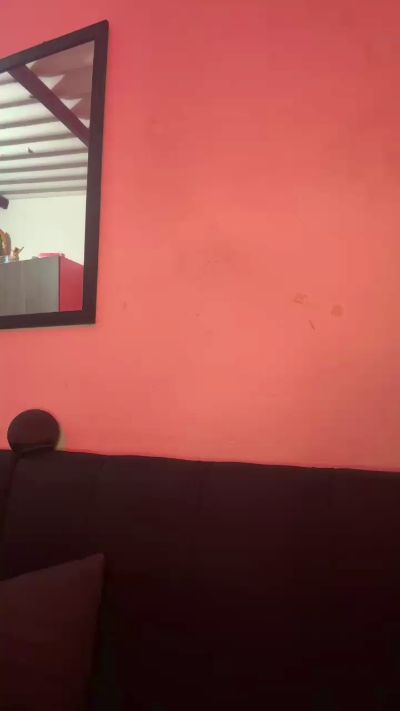 steffano_brown live cam on Cam4