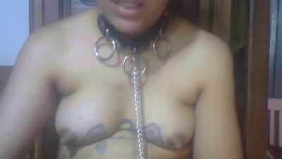 steffie_pussy live cam on Cam4