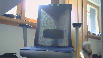 steinbock_1 live cam on Cam4