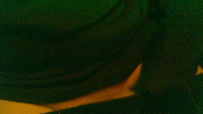 stetson_01 live cam on Cam4