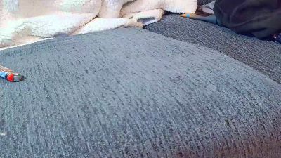 stevetrulife live cam on Cam4