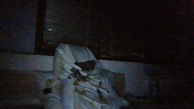 stivvhot live cam on Cam4